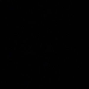 Meet your Posher, Shikeia